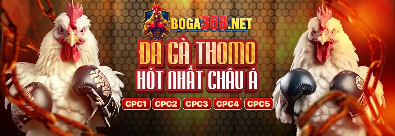 Đá gà trực tuyến Sam 86 sôi động